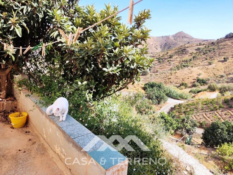 6 soveværelse Guesthouse/B & B til salg i Vinuela med swimmingpool - € 349.000 (Ref: 8146353)