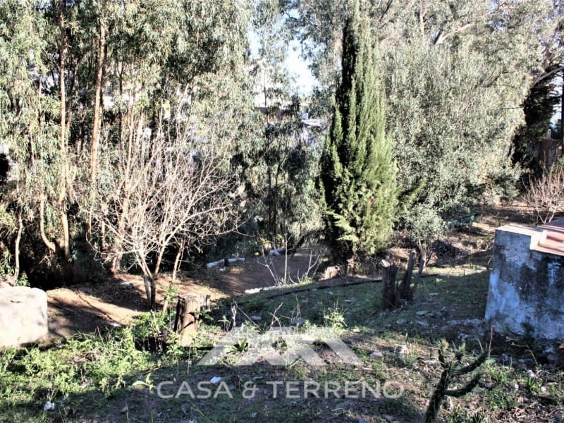 6 bedroom Guesthouse/B & B for sale in Benajarafe - € 950,000 (Ref: 8166073)