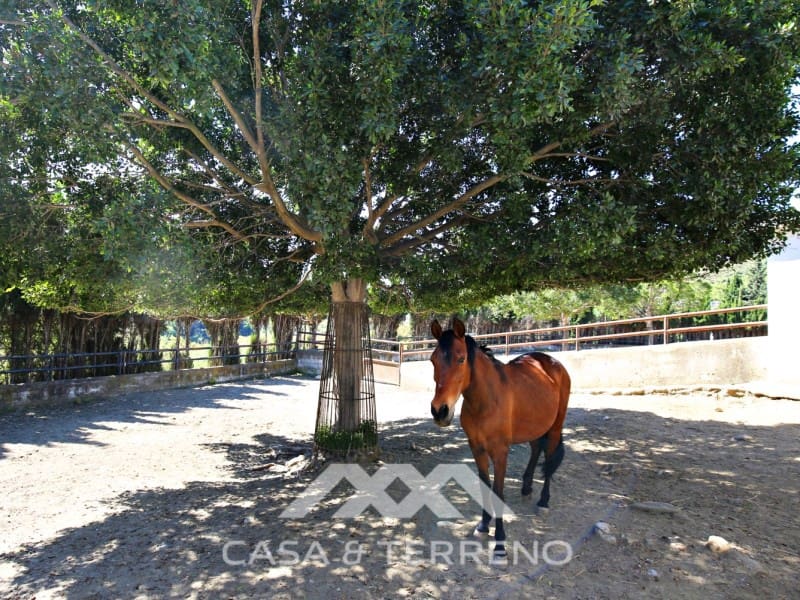 9 soverom Gjestgiveri/B&B til salgs i Frigiliana med svømmebasseng - € 3 200 000 (Ref: 8187469)