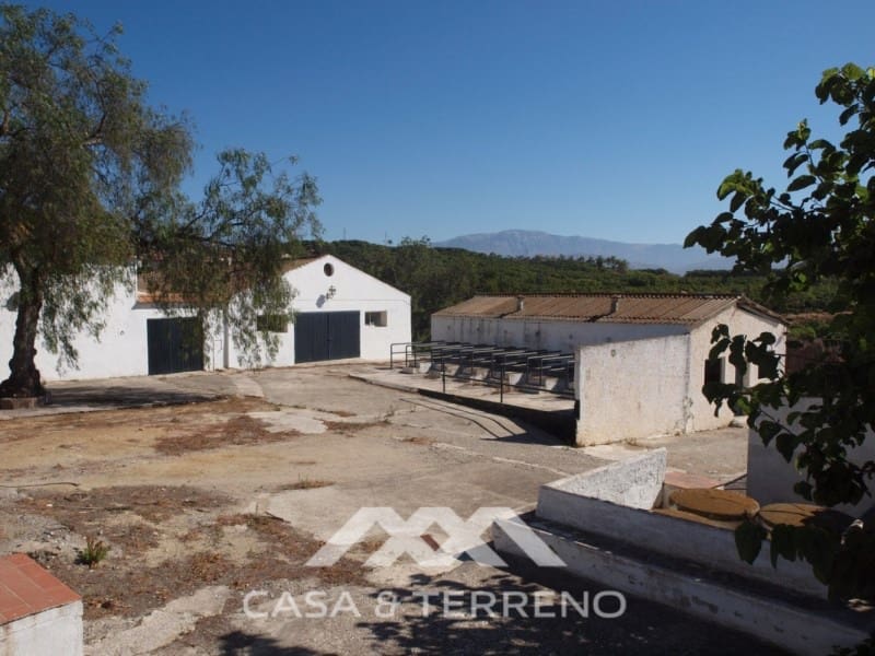 Terrain à Bâtir à vendre à Almayate - 3 500 000 € (Ref: 8211684)