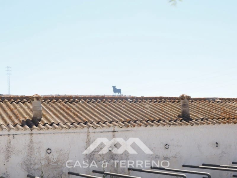 Terrain à Bâtir à vendre à Almayate - 3 500 000 € (Ref: 8211684)