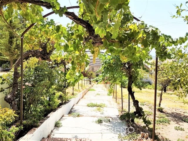 13 bedroom Guesthouse/B & B for sale in Rute with pool - € 750,000 (Ref: 8220747)