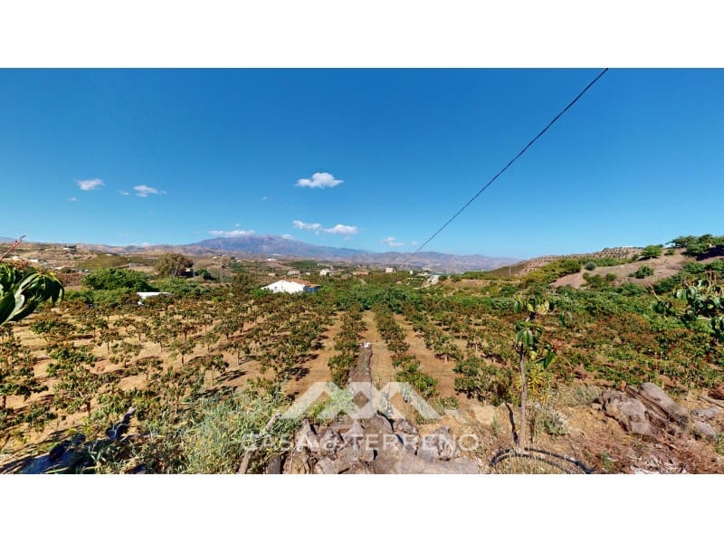 3 soveværelse Finca/Landehus til salg i Benamocarra - € 299.000 (Ref: 8311606)