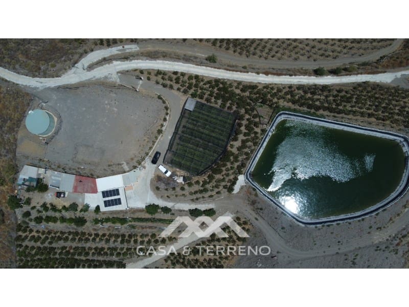 Byggegrund til salg i Velez-Malaga - € 1.060.000 (Ref: 8405549)