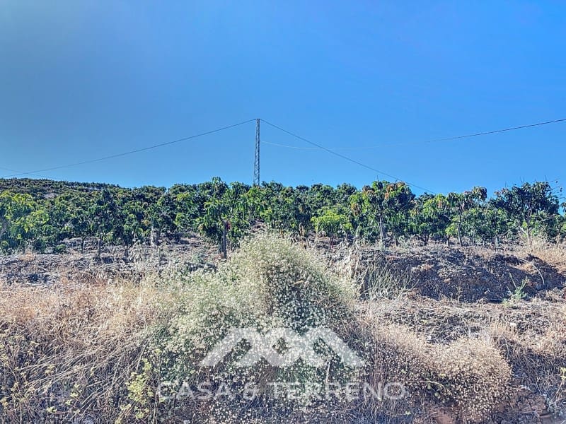 1 soveværelse Finca/Landehus til salg i Benamargosa - € 288.000 (Ref: 8407362)