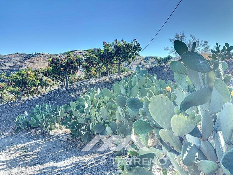 1 soveværelse Finca/Landehus til salg i Benamargosa - € 288.000 (Ref: 8407362)