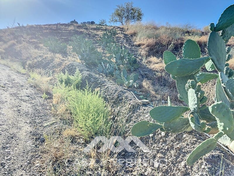 1 soveværelse Finca/Landehus til salg i Benamargosa - € 288.000 (Ref: 8407362)