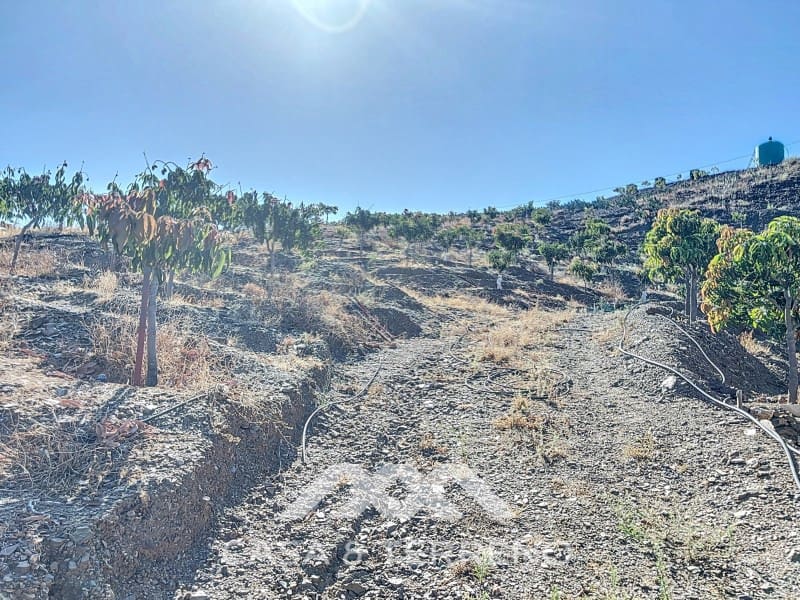 1 soveværelse Finca/Landehus til salg i Benamargosa - € 288.000 (Ref: 8407362)