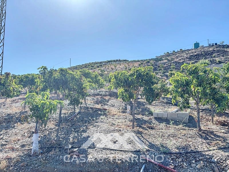 1 soveværelse Finca/Landehus til salg i Benamargosa - € 288.000 (Ref: 8407362)