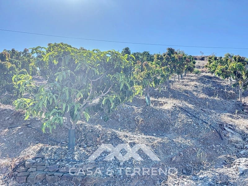 1 soveværelse Finca/Landehus til salg i Benamargosa - € 288.000 (Ref: 8407362)