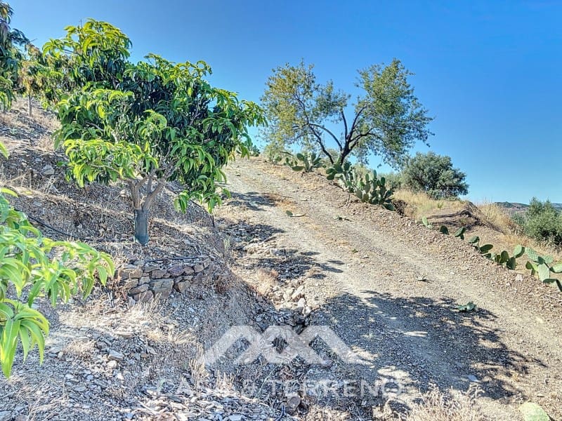 1 soveværelse Finca/Landehus til salg i Benamargosa - € 288.000 (Ref: 8407362)