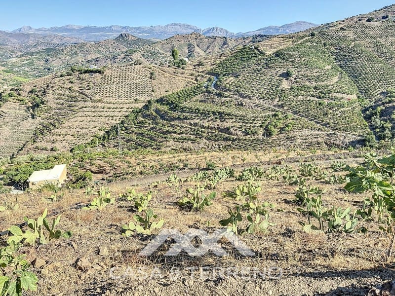 1 soveværelse Finca/Landehus til salg i Benamargosa - € 288.000 (Ref: 8407362)