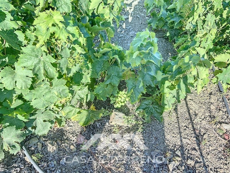 1 soveværelse Finca/Landehus til salg i Benamargosa - € 288.000 (Ref: 8407362)