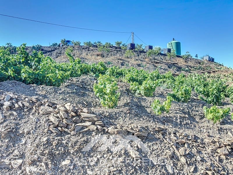 1 soveværelse Finca/Landehus til salg i Benamargosa - € 288.000 (Ref: 8407362)