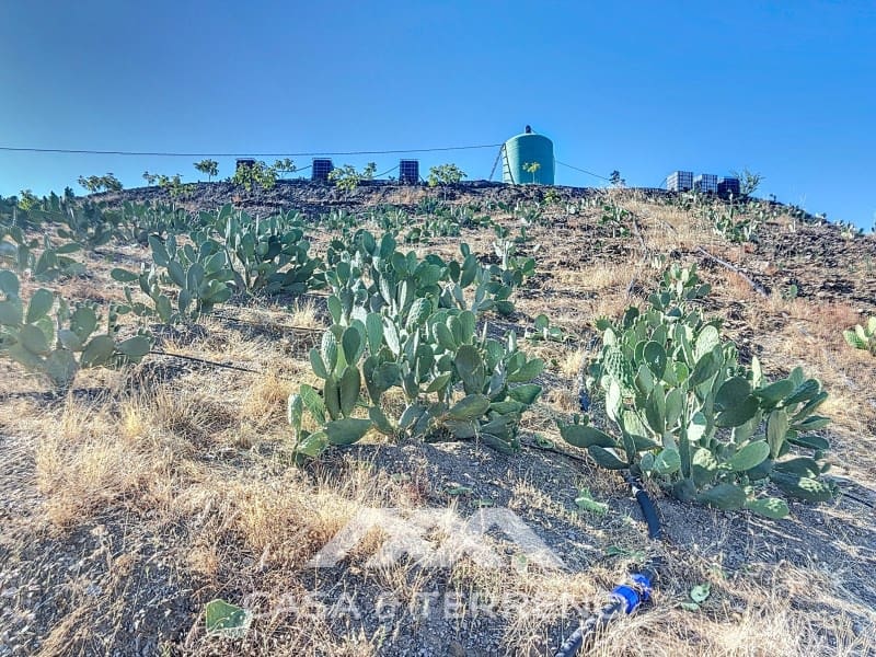 1 soveværelse Finca/Landehus til salg i Benamargosa - € 288.000 (Ref: 8407362)