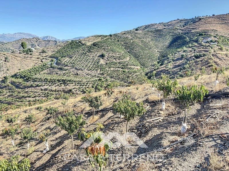 1 soveværelse Finca/Landehus til salg i Benamargosa - € 288.000 (Ref: 8407362)