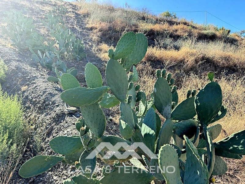 1 soveværelse Finca/Landehus til salg i Benamargosa - € 288.000 (Ref: 8407362)