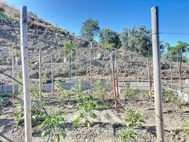 1 soveværelse Finca/Landehus til salg i Benamargosa - € 288.000 (Ref: 8407362)