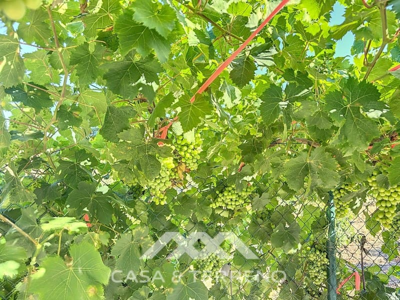 1 soveværelse Finca/Landehus til salg i Benamargosa - € 288.000 (Ref: 8407362)