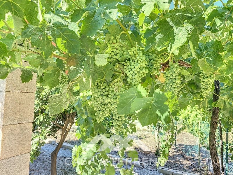 1 soveværelse Finca/Landehus til salg i Benamargosa - € 288.000 (Ref: 8407362)