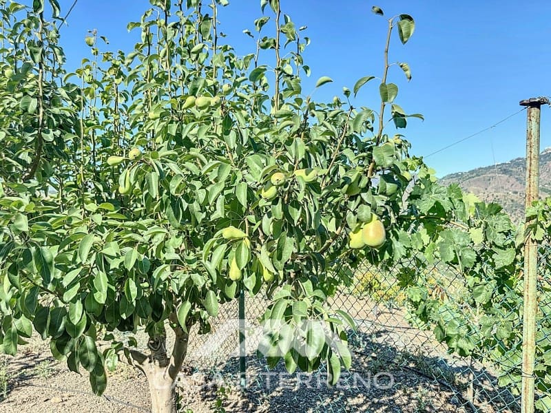 1 soveværelse Finca/Landehus til salg i Benamargosa - € 288.000 (Ref: 8407362)