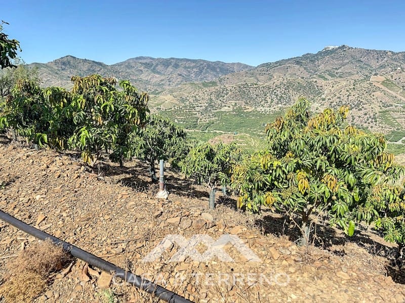 1 soveværelse Finca/Landehus til salg i Benamargosa - € 288.000 (Ref: 8407362)