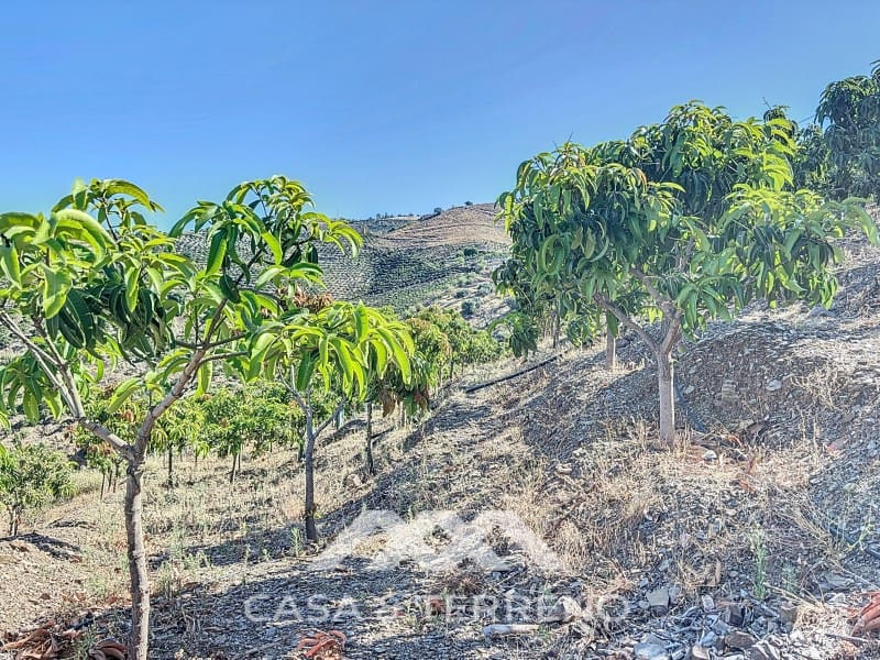 1 soveværelse Finca/Landehus til salg i Benamargosa - € 288.000 (Ref: 8407362)