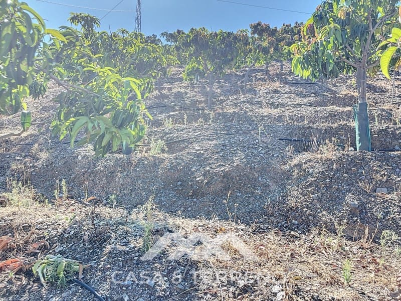 1 soveværelse Finca/Landehus til salg i Benamargosa - € 288.000 (Ref: 8407362)