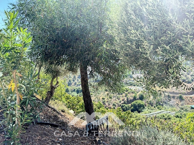 4 slaapkamer Villa te koop in Frigiliana met zwembad garage - € 880.000 (Ref: 8430529)