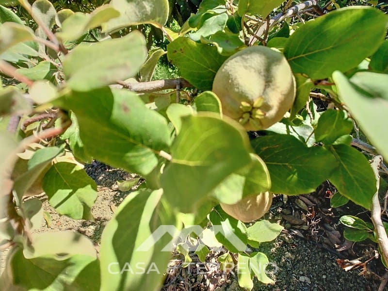 2 soverom Finca/Herregård til salgs i Periana - € 190 000 (Ref: 8439125)