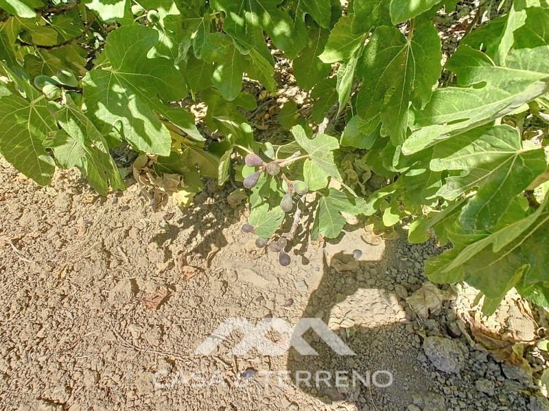 2 soverom Finca/Herregård til salgs i Periana - € 190 000 (Ref: 8439125)