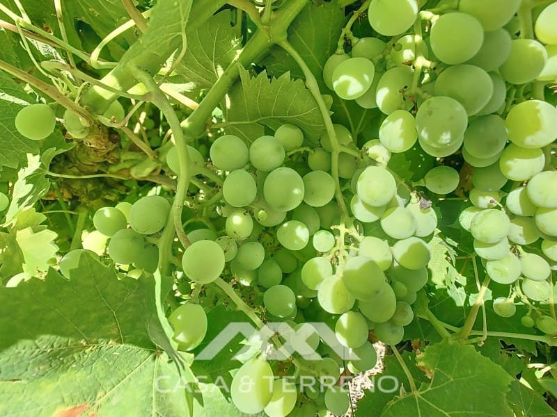 2 soverom Finca/Herregård til salgs i Periana - € 190 000 (Ref: 8439125)