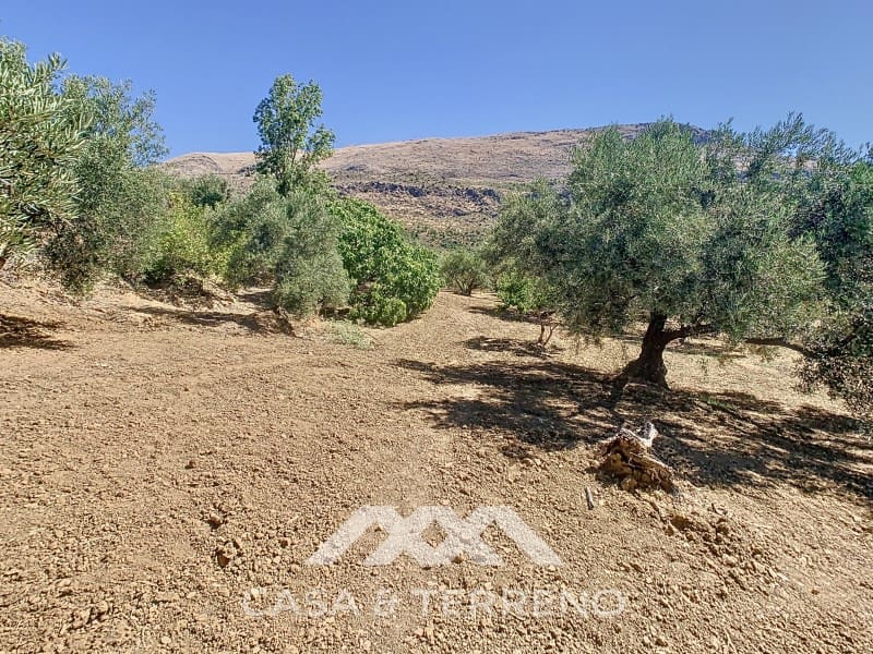 2 soverom Finca/Herregård til salgs i Periana - € 190 000 (Ref: 8439125)