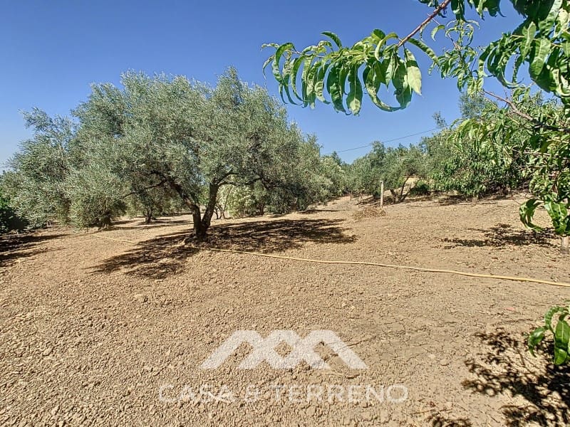 2 soverom Finca/Herregård til salgs i Periana - € 190 000 (Ref: 8439125)