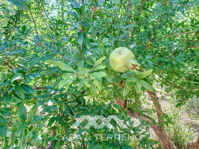 2 soverom Finca/Herregård til salgs i Periana - € 190 000 (Ref: 8439125)