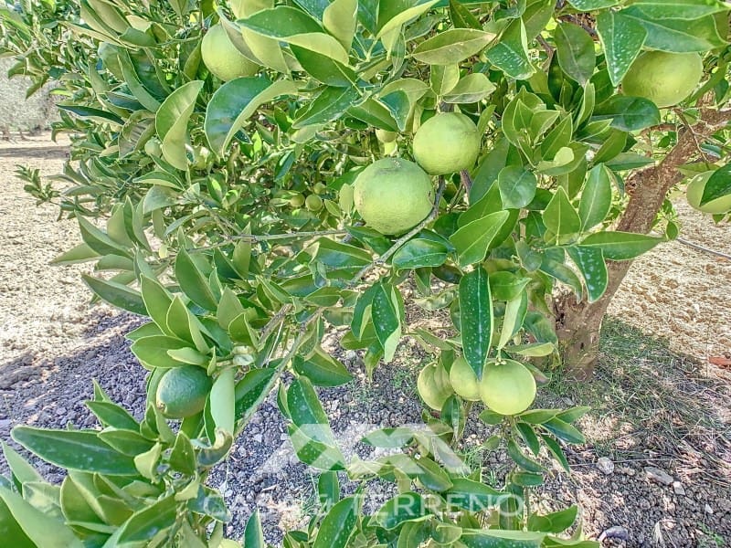 2 soverom Finca/Herregård til salgs i Periana - € 190 000 (Ref: 8439125)