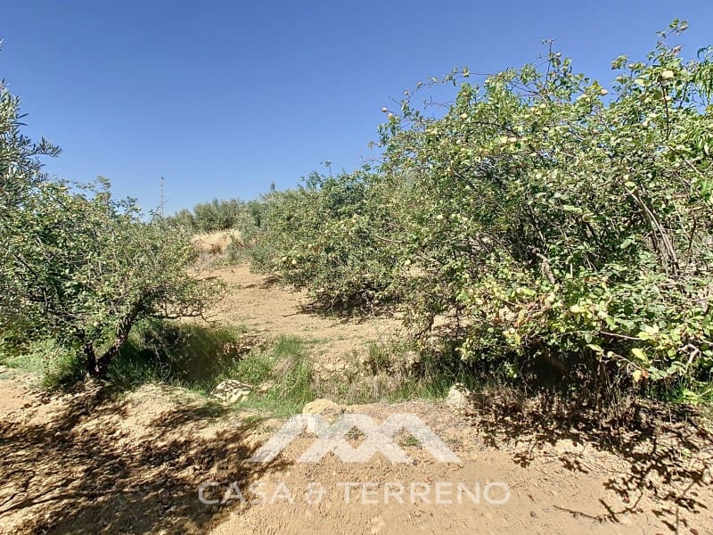 2 soverom Finca/Herregård til salgs i Periana - € 190 000 (Ref: 8439125)