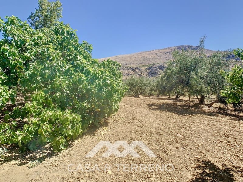 2 soverom Finca/Herregård til salgs i Periana - € 190 000 (Ref: 8439125)