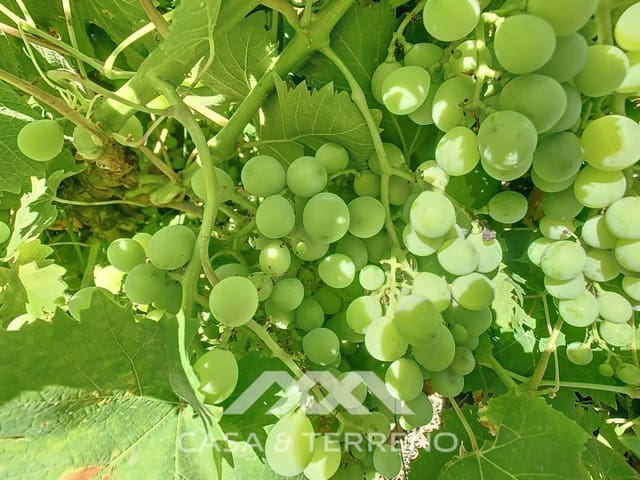 2 slaapkamer Finca/Landhuis te koop in Periana - € 190.000 (Ref: 8439125)