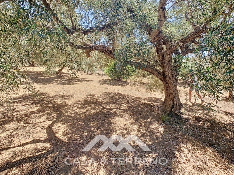 2 soverom Finca/Herregård til salgs i Periana - € 190 000 (Ref: 8439125)