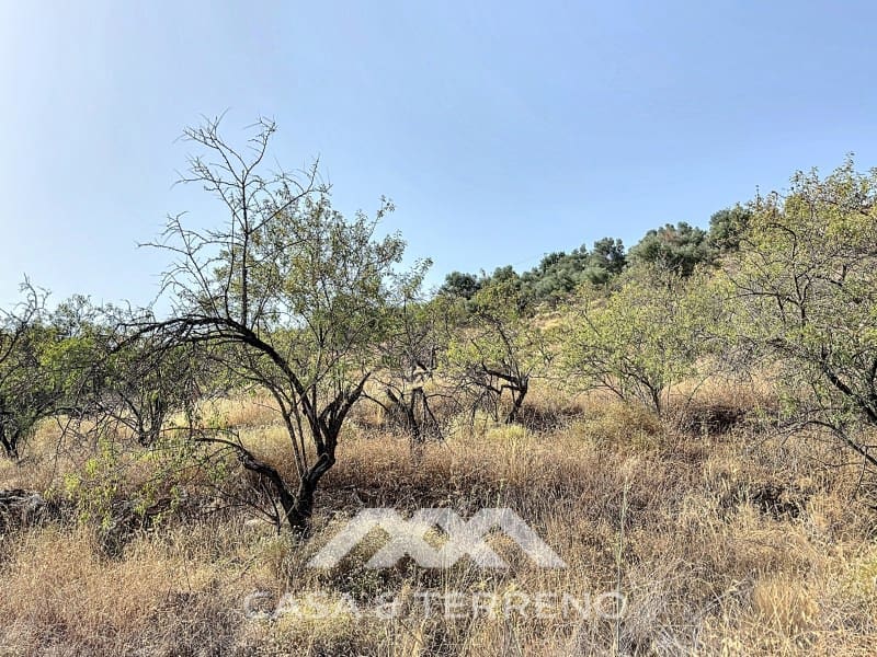 Finca/Maison de Campagne à vendre à Arenas - 56 000 € (Ref: 8470548)