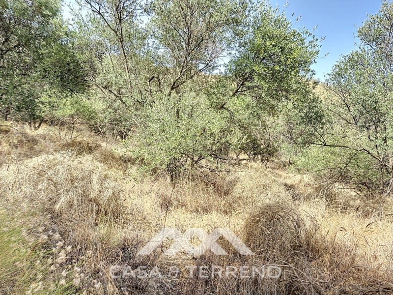 Finca/Maison de Campagne à vendre à Arenas - 56 000 € (Ref: 8470548)