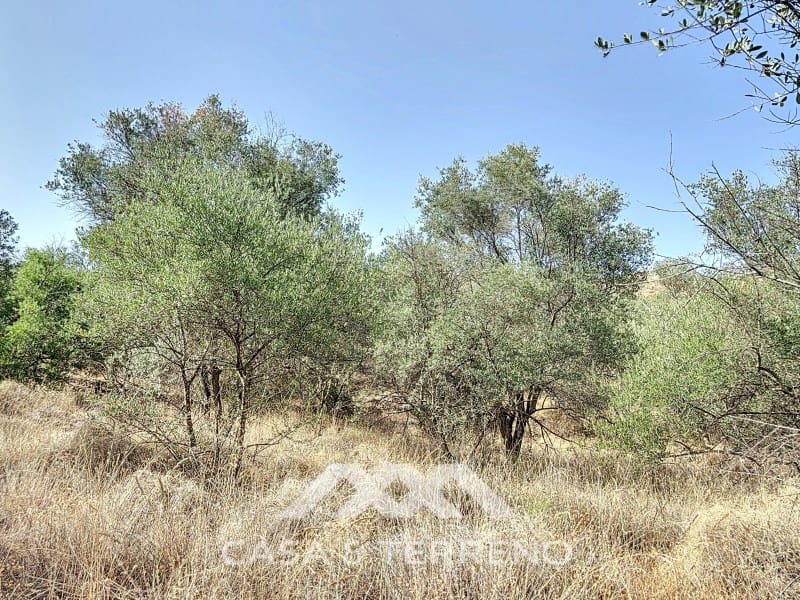 Finca/Maison de Campagne à vendre à Arenas - 56 000 € (Ref: 8470548)