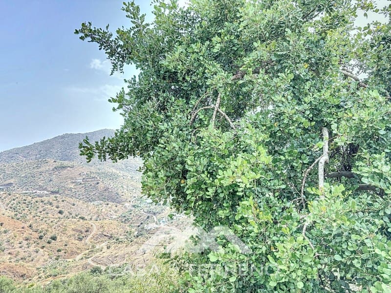 Finca/Maison de Campagne à vendre à Arenas - 56 000 € (Ref: 8470548)