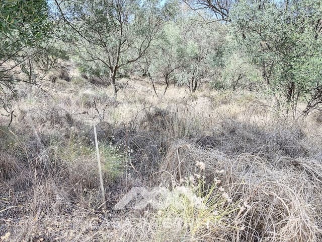 Finca/Maison de Campagne à vendre à Arenas - 56 000 € (Ref: 8470548)