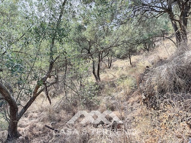 Finca/Maison de Campagne à vendre à Arenas - 56 000 € (Ref: 8470548)