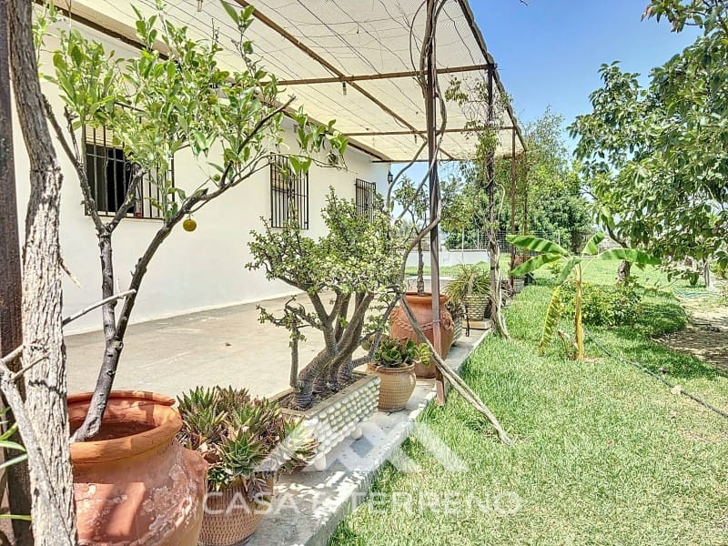 10 bedroom Guesthouse/B & B for sale in Torre del Mar with pool - € 425,000 (Ref: 8489099)