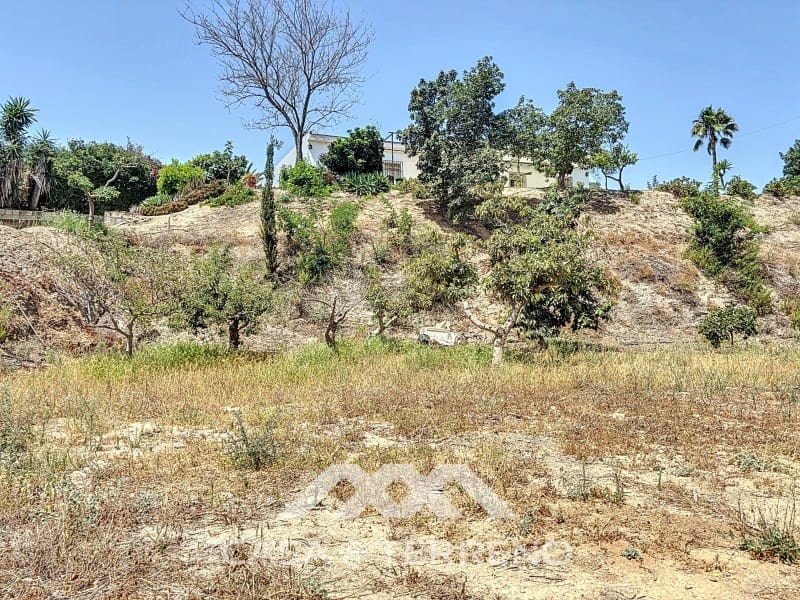 10 camera da letto Finca/Casa di Campagna in vendita in Torre del Mar con piscina - 425.000 € (Rif: 8489101)