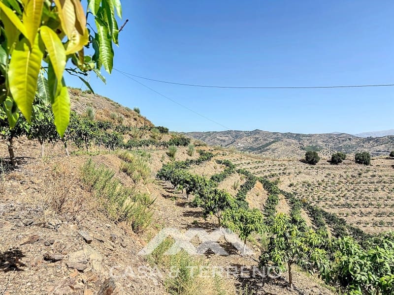 Finca/Landehus til salg i Velez-Malaga - € 425.000 (Ref: 8589317)