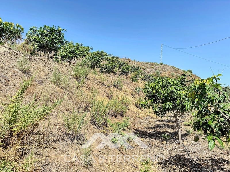 Finca/Landehus til salg i Velez-Malaga - € 425.000 (Ref: 8589317)